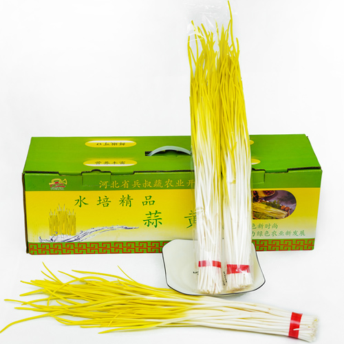 蒜黃銷(xiāo)售